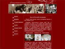 Tablet Screenshot of didconsult.com
